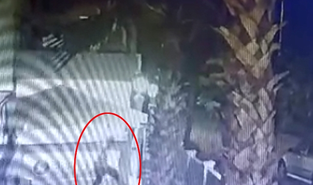 Hırsızlık şüphelilerini kovalayan resepsiyonist, yediği yumrukla öldü