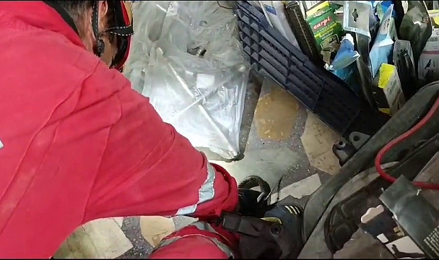 İş yerine giren yılanı itfaiye yakaladı