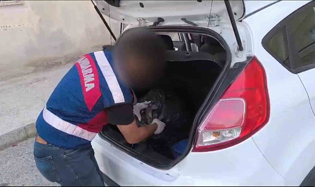 Mersin'de jandarmadan uyuşturucu operasyonu: 2 tutuklu