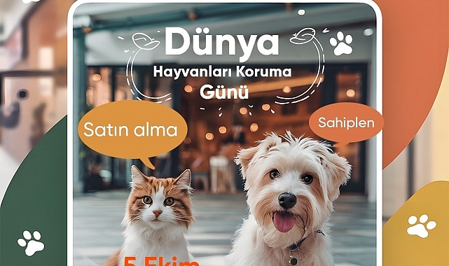 Mersin'de sokak hayvanları sahiplendiriliyor