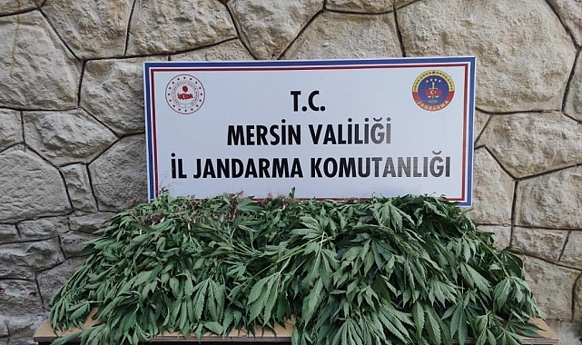 Mersin'de uyuşturucu serası kuran şüpheli yakalandı