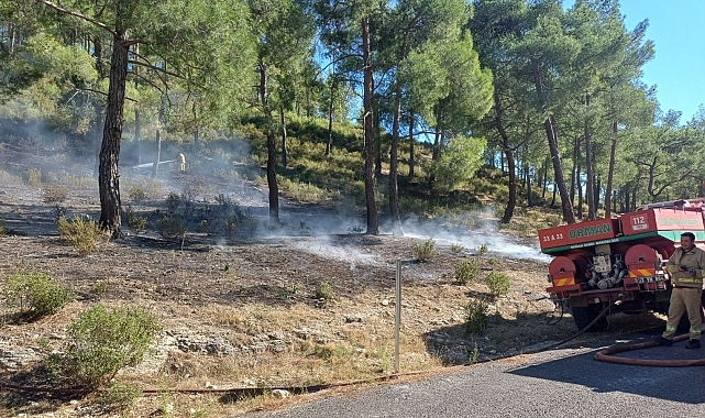 Mersin'de vadide çıkan orman yangını, büyümeden söndürüldü
