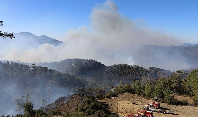 Muğla'nın 2 ilçesinde orman yangınlarına müdahale sürüyor