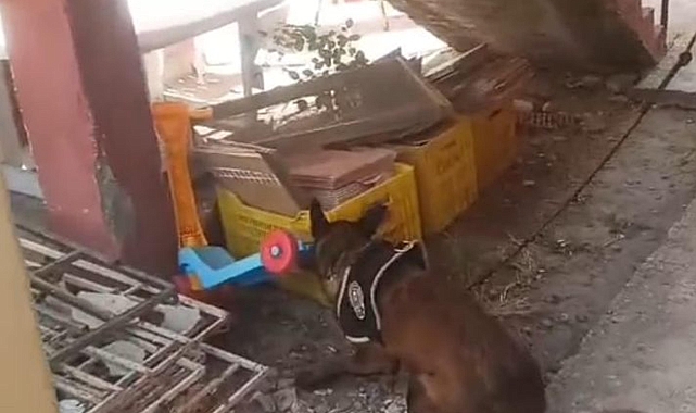 Muğla'nın iki ilçesinde uyuşturucu operasyonu: 7 gözaltı