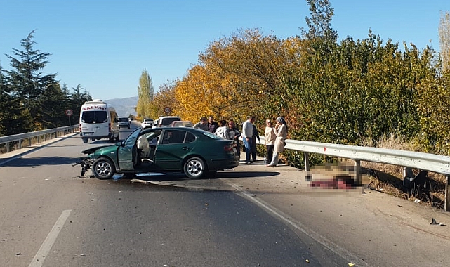 Otomobille domuza çarptılar