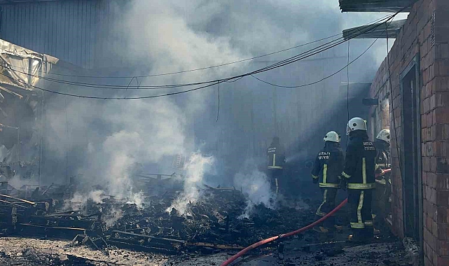 Palet üretim tesisinde korkutan yangın