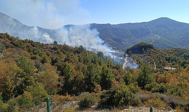 Tarım arazisindeki yangın büyümeden söndürüldü
