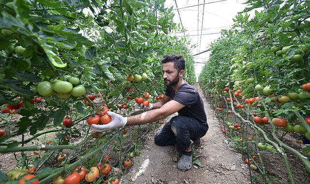 'Tarımda planlı üretim yapılmalı'