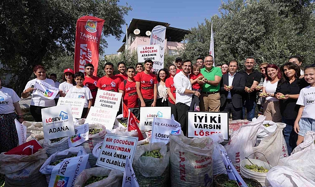 Tarsus'ta lösemili çocuklar için zeytin hasadı yapıldı