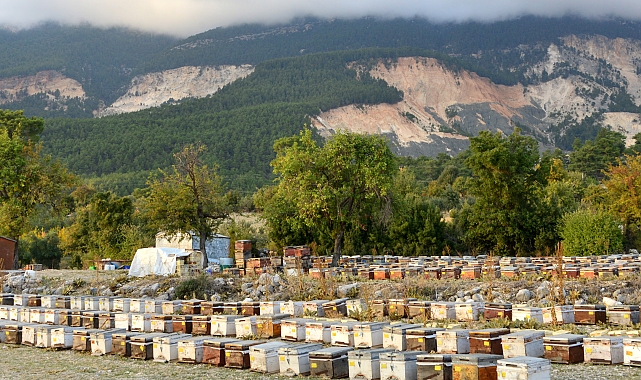 Finike balına mermer ocağı tehdidi