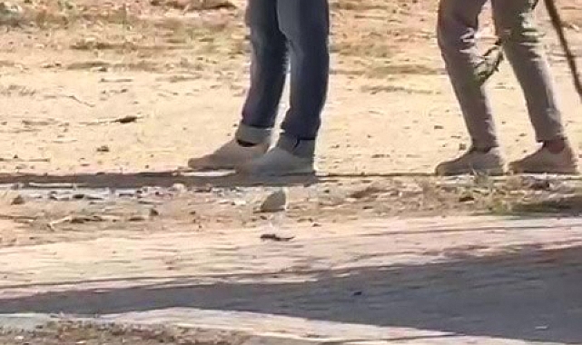 Uyuşturucunun etkisiyle ayakta uyudu