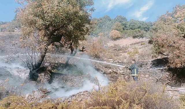 Alanya'da merada çıkan yangın kontrol altına alındı