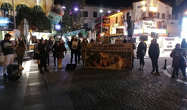 Antalya'da Hayvanseverler "Hayvan Katliam Yasasını" Protesto Etti