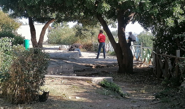 Antalya’da Uyuşturucu Kullanımı Artıyor mu? Narkotik Operasyonlarında Ele Geçirilen Madde Oranlarında Artış