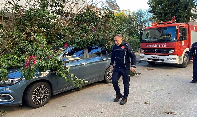Antalya'da fırtınaya dayanamayan ağaç park halindeki aracın üzerine devrildi