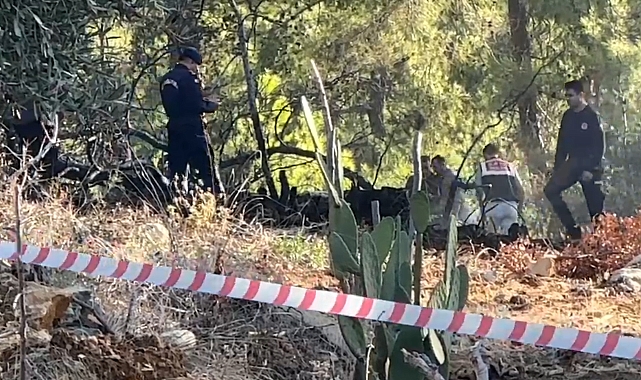 Antalya'da ormana düşen hava aracı yangına neden oldu