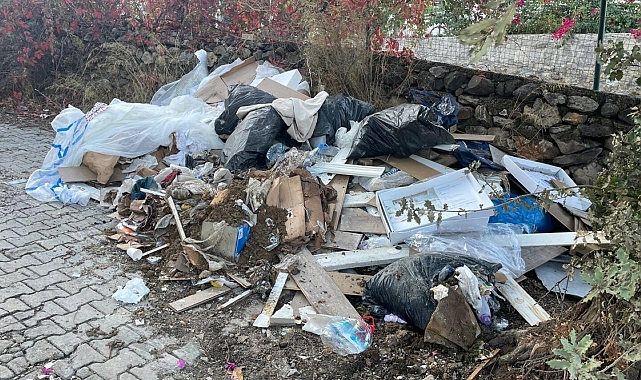 Bodrum'da çevreyi kirletenlere ceza yağdı