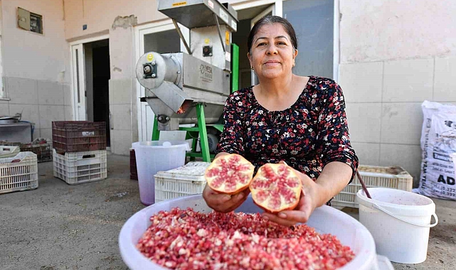 Büyükşehir Belediyesinden üreticiye 'Nar Taneleme Makinesi' desteği