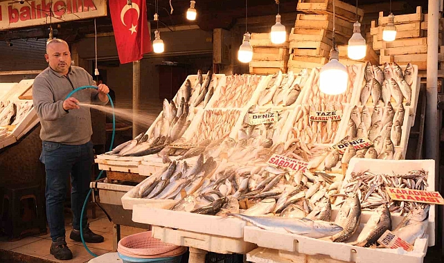 Dev balık bin 500 liradan alıcı buldu