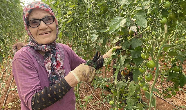 Kocası 5 çocuğuyla bırakıp kaçınca 46 sene ev temizledi