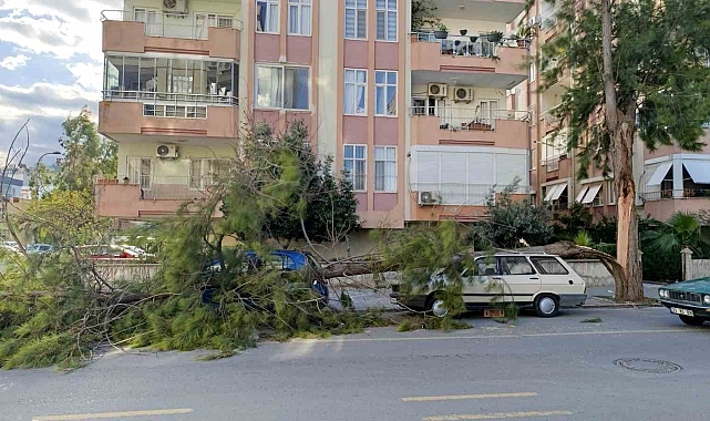 Mersin'de fırtına ağaçlar devrildi, araçlar zarar gördü camlar kırıldı