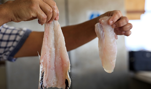 Mezgitin kilosu 750 lirayı buldu; yarı fiyatına 'zehir' uyarısı