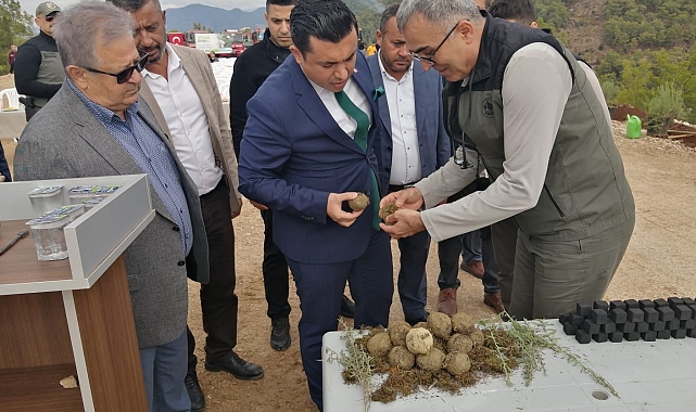 Milli Ağaçlandırma Günü'nde karbon zengini tohumlar toprakla buluşturuldu