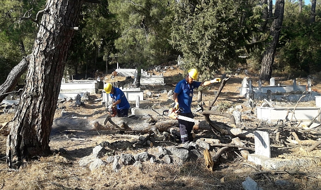 Muğla'da odunlar ihtiyaç sahiplerine yakacak oluyor
