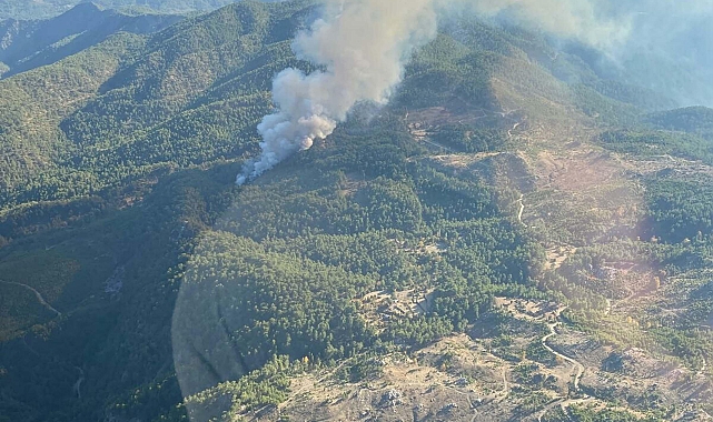 Muğla'da orman yangını