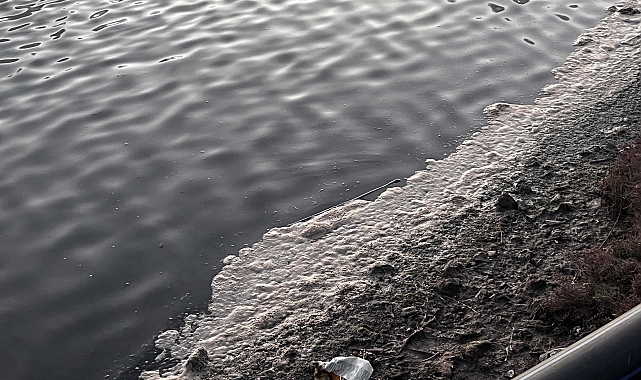 Muğla'da 'Tuzla Sulak Alanı' köpürdü