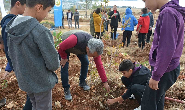 Öğretmenler Günü anısına 300 fidan toprakla buluşturuldu