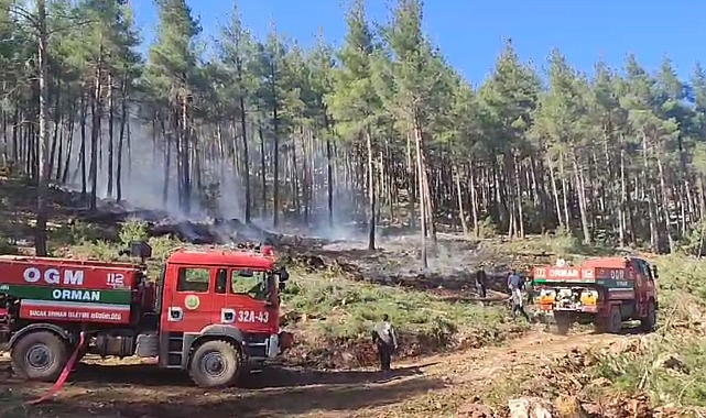 Orman yangını büyümeden söndürüldü