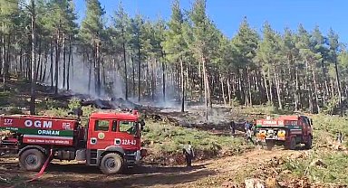 Orman yangını büyümeden söndürüldü
