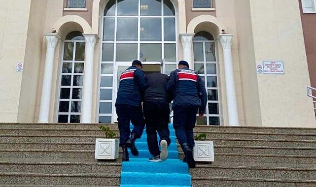 Ormanda 1 kilo skunk ele geçirildi; 3 gözaltı