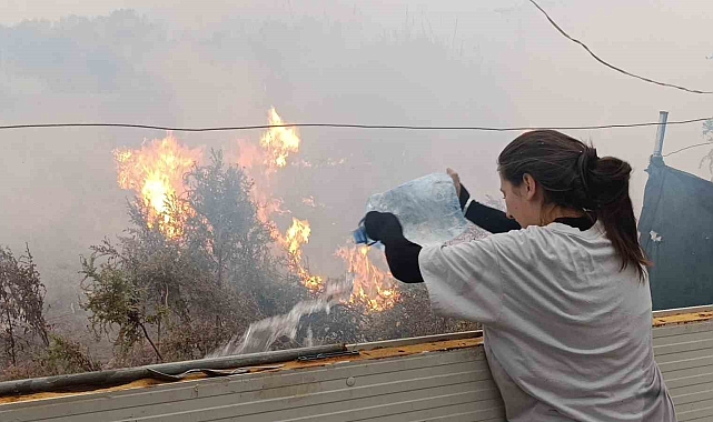Sazlık alandaki yangına hortum ve bidonlarla müdahale ettiler