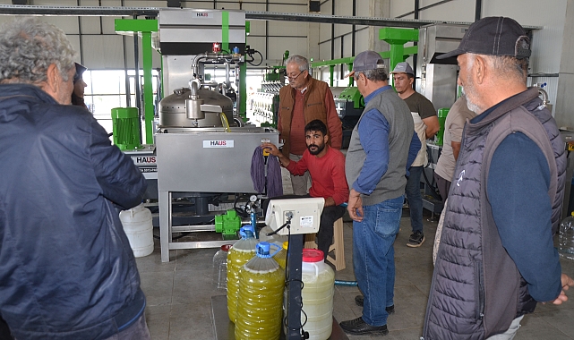 Sızma zeytinyağının kilosu 300 lira