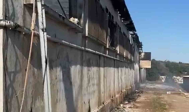 Tarsus'ta tavuk çiftliğinde yangın 33 bin civciv telef oldu