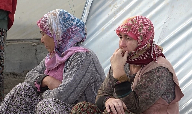 Yağış seraları vurdu, üreticinin gözü yaşlı
