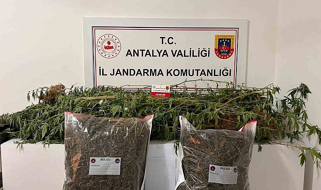 Alanya'da narkotik operasyonları