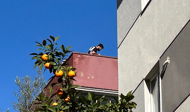 Çatıya Çıkıp Taş Fırlattı, Polise Direndi
