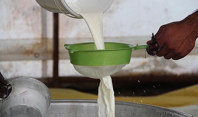 Çiğ Süt Fiyatlarına Yüzde 17 Zam Geldi