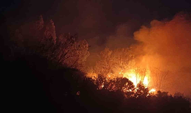Dörtyol'da sazlık alanda yangın çıktı