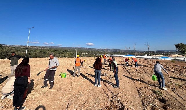 Erdemli'de Otoban Kenarında Ağaçlandırma Çalışmaları Gerçekleştirildi