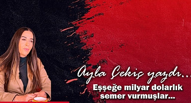 Eşşeğe Milyar Dolarlık Semer Vurmuşlar