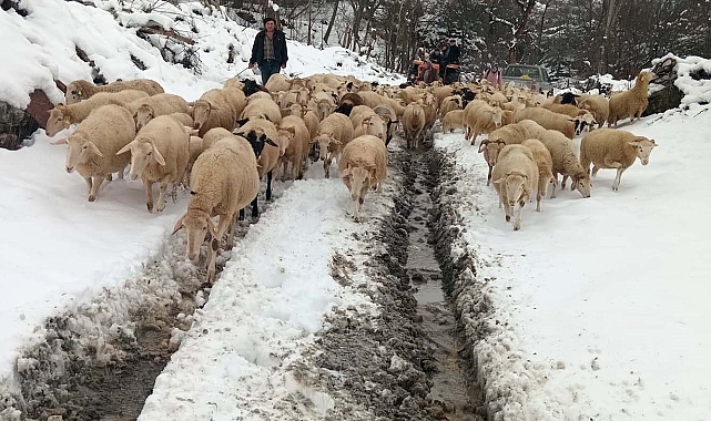 Karda mahsur kalan çoban ve ailesi kurtarıldı