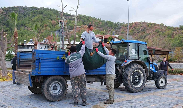 Kemer'de bahçe atıkları toplama programı başladı