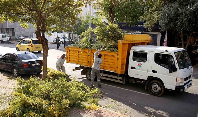 Kepez'de ağaçları kış ve bahar mevsimine hazırlanıyor