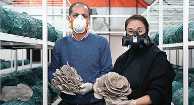 Mantar yetiştiriciliği kursu ile hem kazanıyor, hem kazandırıyor