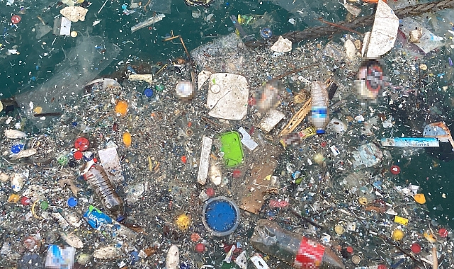 Mersin ve İskenderun Körfezlerinde Tehlike: Deniz Kirliliği ve İnsan Sağlığına Tehdit