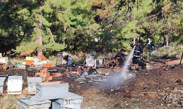 Mezarlıkta yangın çıktı, yanan 15 kovandaki arılar telef oldu